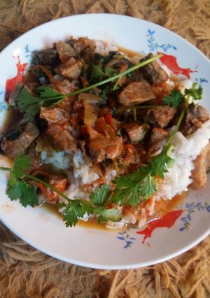 A picture of Beef stew with rice#authormarathon.