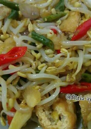 Foto resep Tumis tauge