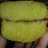 Bika ambon mini lembutt