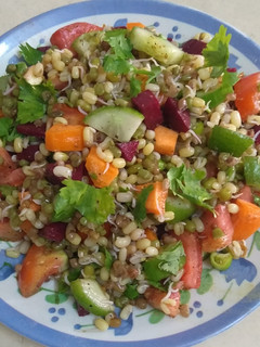 હેલ્ધી પ્રોટીન સલાડ(Healthy Salad Recipe In Gujarati) રેસીપી મુખ્ય ફોટો