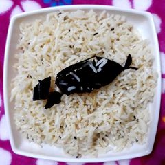 Rice A picture of Rice.