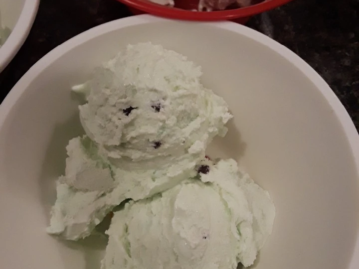 Recipe No Churn Mint Chocolate Chip Ice Cream the Delicious Really delicious