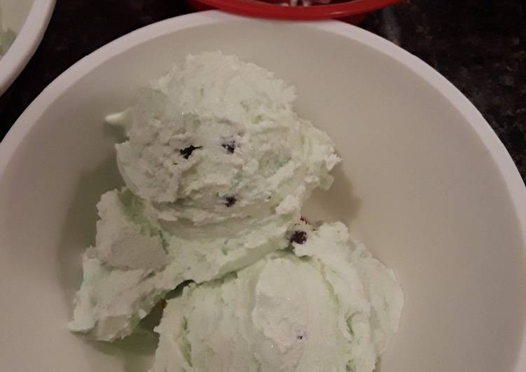 No Churn Mint Chocolate Chip Ice Cream