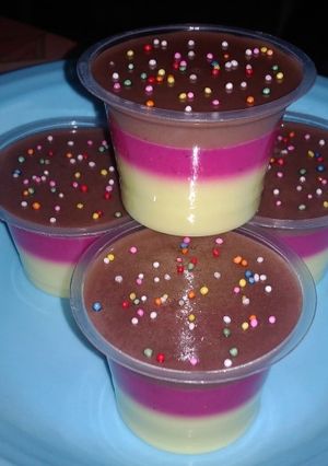 Foto resep 13. Puding 3 Rasa (Alpukat Buah Naga Coklat)