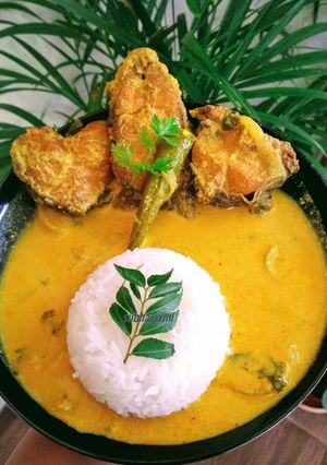 A picture of Dahi macha(fish cooked in yogurt with mustard gravy).