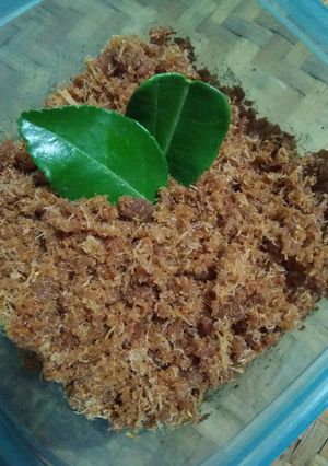 Foto resep Abon ayam