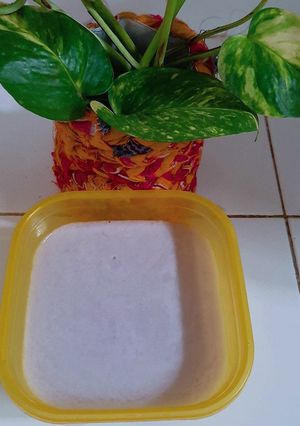 Foto resep Silky Pudding
