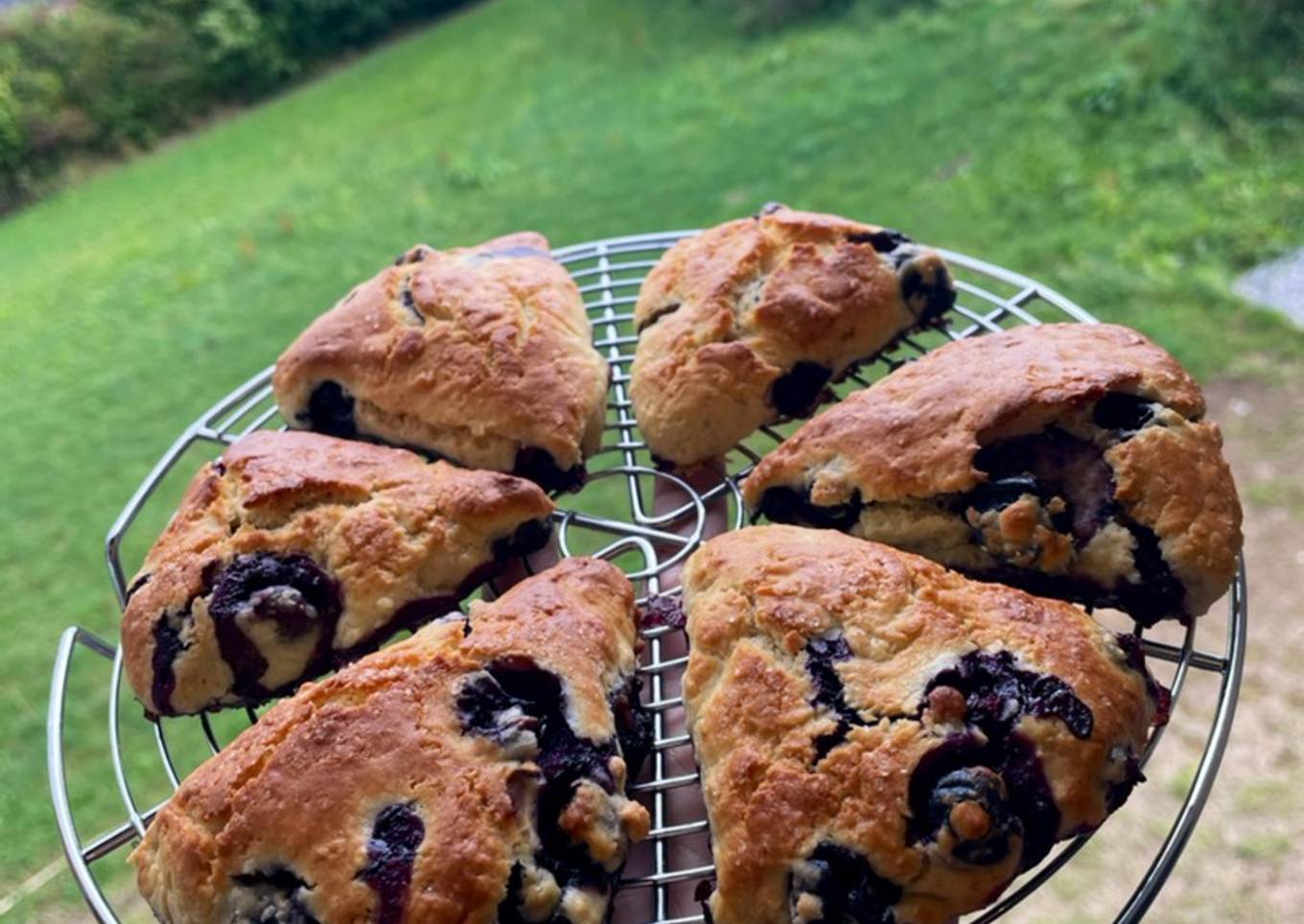 Scones Myrtille 🫐