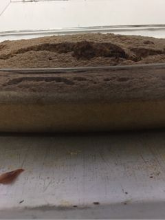 Una foto de Bizcocho fit de avena y café