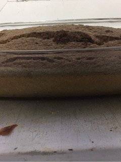 Una foto de Bizcocho fit de avena y café