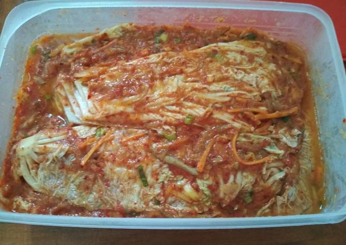 Kimchi / sawi putih / masakan korea