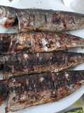 Carapau grelhado
