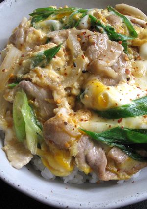A picture of ‘Tanin’ Don (Pork & Egg Rice Bowl).