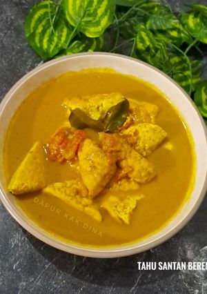 Foto resep Tahu Santan Berempah (183)