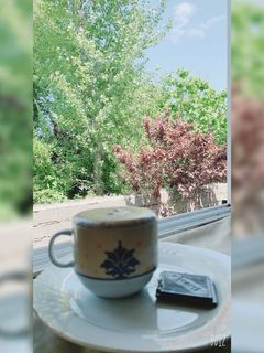 عکسی از دستور قهوه دالگونا