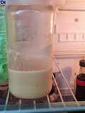 LECHE CONDENSADA. (FÁCIL)