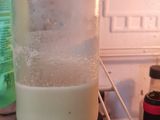 LECHE CONDENSADA. (FÁCIL)