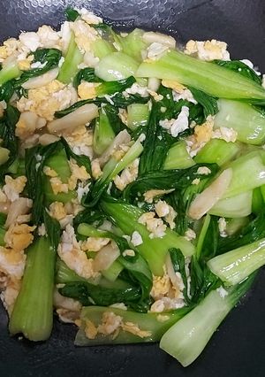 Foto resep Tumis Pakcoy Telur