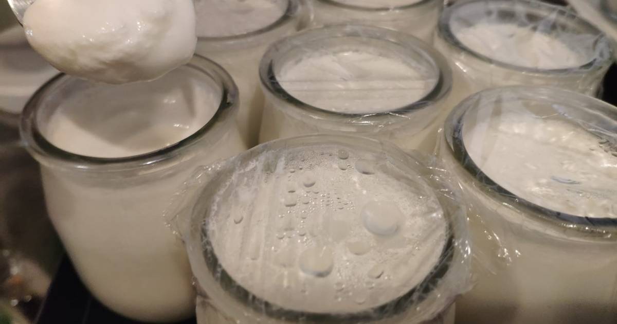 Yogur al microondas Receta Ricard Oriol- Cookpad