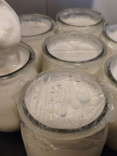 Una foto de Yogur al microondas