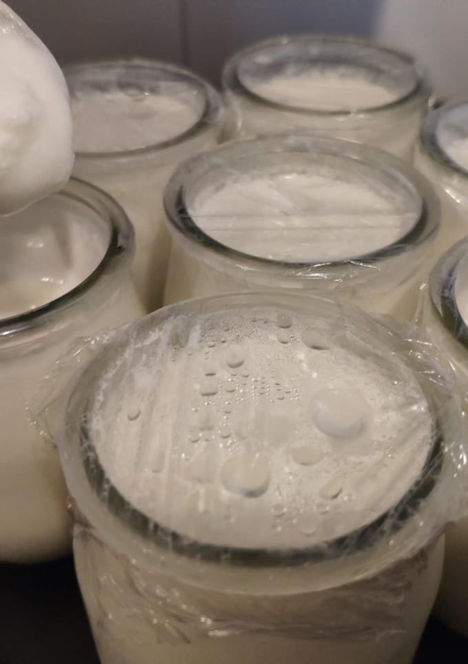 Una foto de Yogur al microondas