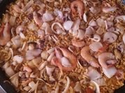 Una foto de conchas de pescado