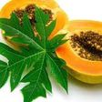 Té de papaya