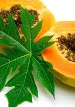 Una foto de Té de papaya