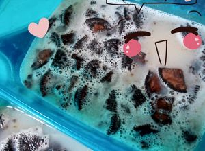 Foto resep Puding Oreo Vanila Agarasa