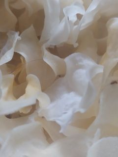 બટાકા ની વેફર (Bataka Wafer Recipe In Gujarati) રેસીપી મુખ્ય ફોટો