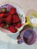 Granita alle fragole