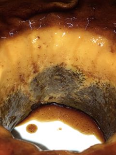 صورة لوصفة قدرة قادر