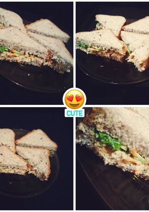 صورة لوصفة شطائر بالتونة 🥪✨