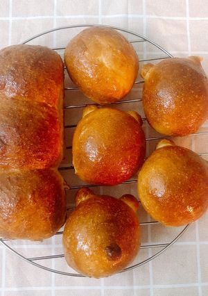 Hình của món Bánh mì bơ sữa (không cần nhồi).
