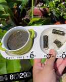 CÁ HỒI ÁP CHẢO - CANH RONG BIỂN - BÉ ĂN DẶM !!