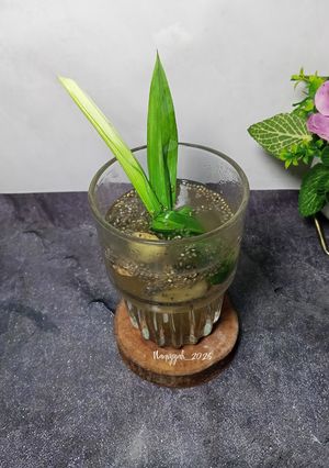 Foto resep Wedang jahe chia seed