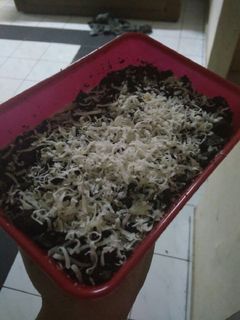 Foto resep Cheese cake Lumer with Oreo crumbs