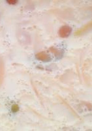 शाहीखीर(shahi kheer recipe in marathi) रेसिपी चे मुख्य फोटो 