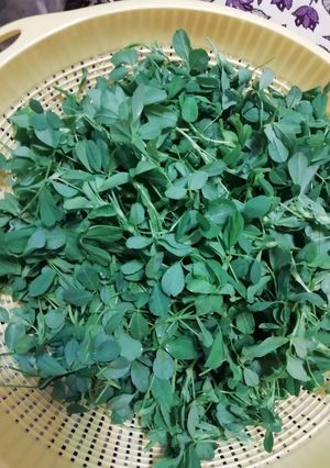 عکسی از دستور یونجه با سکنجبین