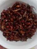 Goreng Teri Ikan Kacang / Teri Main Bola