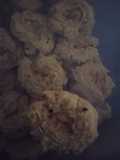 Kue Semprit Koya