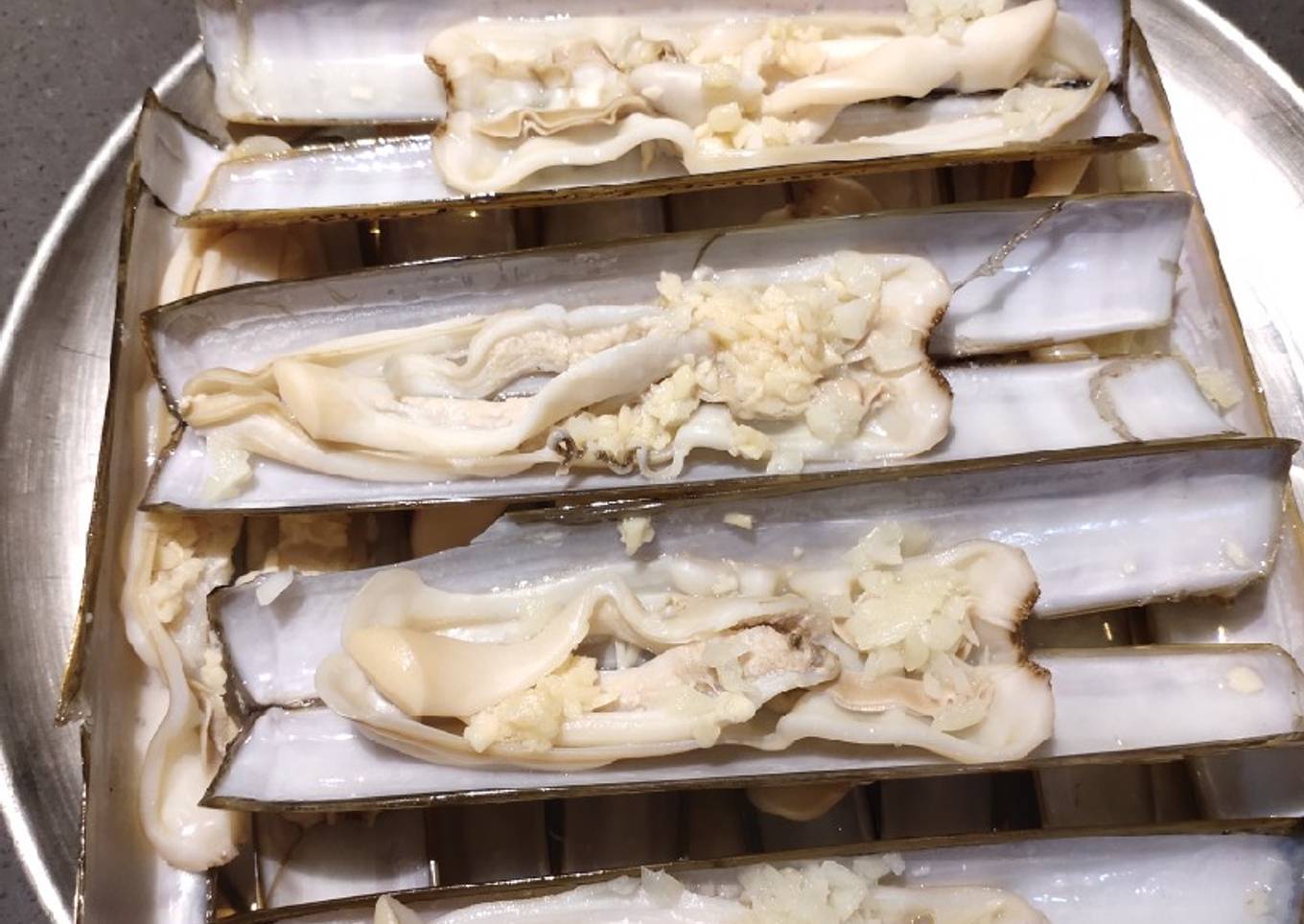 Steam Pod Razor Shells
