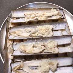 A picture of Steam Pod Razor Shells.
