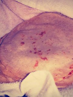Una foto de HU3RAz♡ Tortillas de Maíz Hecho a Mano con un toque secreto ;)