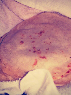 Una foto de HU3RAz♡ Tortillas de Maíz Hecho a Mano con un toque secreto ;)