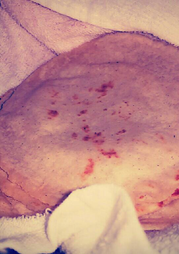 Una foto de HU3RAz♡ Tortillas de Maíz Hecho a Mano con un toque secreto ;)