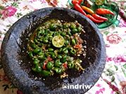 Gambar pencok leunca