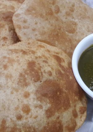 A picture of Palak Paneer.