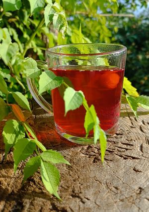 عکسی از دستور چای آلبالو آتیشی