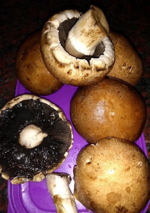 Una foto de Hongos express